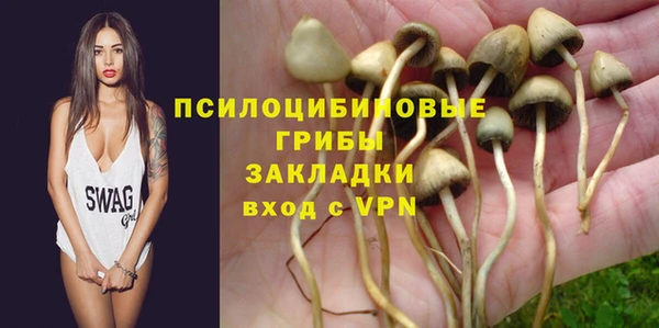спиды Бронницы