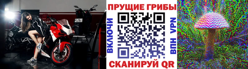 Псилоцибиновые грибы прущие грибы  Эртиль 